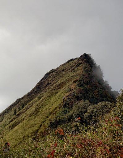Mount Tempü, Senapati, Manipur - Vushii.com Mount Tempü, Senapati, Manipur - Vushii.com